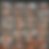Taylor Wild (21 ) Pack [2024-2025, Blonde, Big Tits, Facial, MILF, Swallow] thumb