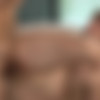[CFSelect.com/CorbinFisher.com] CFS0329 - Chandler Fucks Reed [2012 ., Anal Sex, Bareback, Blowjob, Cumshots, Facial, Hardcore, Kissing, Masturbation, Muscles, Tattoos., 720p] thumb