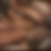 [SlamRush.com] D3sperate Dumpst3r (Desperate Dumpster) [2020 ., Bareback, Group Sex, Anal Sex, Blowjob, Cum In Ass, Sperm, Teen, 720p] thumbnail