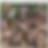 [Staxus.com] Out Of The Woods, Sc.1: Hand-In-Hand Buddies Soon Become Cock-In-Raw-Arse Fuckers! (Casey Flip, Greg Noll) [2017 ., Blowjob, Anal, Bareback, Rimming, Riding, Tattoos, Masturbation, Kissing, Masturbation, Kissing, Twinks, Uncut, 720p] thumb