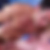 [GodsOfMen.com / Men.com] Mine (Ricky Decker, Tommy Regan) [2016 ., Muscle, Anal/Oral Sex, Big Dick, BlowJob, Hairy, Rimming, Cumshot, Masturbation, 720p] thumb