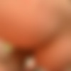 [GayPublicHardcore.com]      (29 ) [2009-2011 ., Twinks, Studs, Euro, Duet, Orgy, Oral, Anal, Cumshots, SiteRip] thumbnail