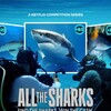 All the Sharks S01 1080p NF WEB-DL DDP5 1 H 264-STC thumb