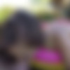 [BreakingAsses.com / CumLouder.com] Amirah Adara - Anal Worship (05-01-2015) [2015 ., Anal, Gape, Big Ass, Big Dick, Facial, BJ, POV, Outdoor, Gonzo, Hardcore, All Sex, HDRip, 1080p] thumb