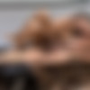 [GuysInSweatPants.com] Dante double loads Trent (Trent King, Dante Colle) [2018 ., Anal Sex, Bareback, Big Dick, Blowjob, Cumshots, Interracial, Kissing, Masturbation, Muscles, Tattoos, Uncut., 1080p] thumb