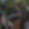 [DrillMyHole.com / Men.com] Battle Buddies Part 1 (Bellamy Bradley, Ryan Bones) [2017 ., Outdoor, Muscle, Blowjob, Oral, Anal, Cumshot, Tattoo, Beard, Military, Boots, 1080p] thumb