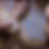 [MachoFucker.com] Impaled By Big Marcos (Big Marcos, Henrique Miranda) [2017 ., Bareback, Anal Sex, Big Dick, Cumshot, 720p] thumb