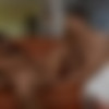 [FilthyKings.com / Filthy Taboo] Armani Black - Pillow Talk (12-02-2022) [2022, Anal, Ass to Mouth, Big Tits, Blowjob, Brunette, Deepthroat, Doggystyle, Facial, Family Roleplay, Fingering, Rimming, Tattoo & Piercing, Toys, 720p] thumb