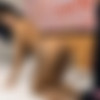 [DreamTranny.com] Vitoria Neves / Loving Cock in Her Ass (02 Mar 2018) [2018 ., shemale hardcore bareback, 1080p, SiteRip] thumb