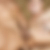 [SeanCody.com] SC-1984 Forrest & Blake: Bareback [2015 ., Anal Sex, Bareback, Kissing, Rimming, Ass to Mouth, Hunks, Shower, Behind the scenes/BTS, Interview, Tattoos, Cumshots, 720p] thumb