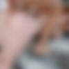 [AllInternal.com / PerfectGonzo.com] Carly Rae (24.01.2018) [2018 ., Hardcore, Blowjob, Red Head, Big Tits, Doggystyle, Deep Throat, Throat Fucking, Creampie, Anal, 1080p] thumb