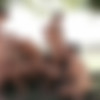 [LucasEntertainment.com] Viktor Rom, Ken Summers, Dominic Arrow, Bogdan Gromov | Bareback Double-Fucking / LVP258-04 Raw Double Penetrations 04: Stuffed, scene 4 [2017 ., Anal, Bareback, DAP, Group, Outdoors, Blowjob, Rimming, Tattoos, Uncut, 720p] thumb