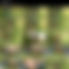 [PissingOutdoor.com]      (165 ) [2005-2010 ., Peeing, Outdoor] thumbnail