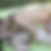[Staxus.com] Ray Mannix Gets His Horny Whore-Hole Worked Over Big Time! (Camp Out Scene #1) / 3985 (Logan Lech, Ray Mannix) [2015 ., Outdoor, Blowjob, Anal, Rimming, Bareback, Riding, Kissing, Cum In Ass, Twinks, Uncut, 720p] thumb