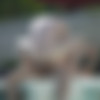 [DrillMyHole.Com / Men.com] Pool Daze (Thyle Knoxx, William Seed) [2018 ., Outdoors, Blow Jobs, Deep Throat, Masturbation, Oral/Anal Sex, Facial, Cum Shots, Cum in Mouth, Uncut, Condom, Big Dick, Jerk Off, Close ups, Tattoos, Muscles, Young Men, 720p] thumb