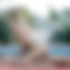 [18OnlyGirls.com / WowFandom.com] Violette ( Love Is In The Air / 15.11.14) [2014 ., Blonde, Blowjob, Handjob, Hardcore, Outdoors, Pussy Licking, Shaved Pussy, Small Tits, 720p] thumb