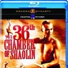 The 36th Chamber of Shaolin 1978 1080p BluRay x264-OFT thumb