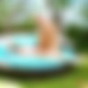 [DigitalPlayground.com] Natalia Starr (Let's Play / 03.04.2015) [2015 ., All sex, Blowjob, reverse cowgirl, doggy, sideways, missionary, cum on tits, 720p] thumb