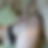 [LaFRANCEaPoil.com] Syrial (14.02.2015) Syrial fantasme sur la baise avec son frère! [2015 ., Anal, BBW, Big Butt, Big Tits, Fat, Hardcore, 720p] thumb