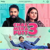 Chal Mera Putt 3 [2021] / 720p / WEB / H264 / EAC3 / Panjabi / Subs / MKV / XDMovies thumb