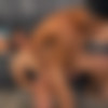 [SeanCody.com] SC-2470 Dillan & Manny: Bareback [2018 ., Anal Sex, Bareback, Blowjob, Cumshots, Hairy (Shaved), Kissing, Latinos, Masturbation, Muscles, Rimming, Tattoos., 720p] thumb