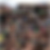 [DirtyTony.com] Max Bukkake [2011 ., Studs, Orgy, Masturbation, Oral, Cumshots, Facial, Bukkake, SiteRip] thumb