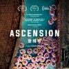 Ascension 2021 1080p BluRay REMUX AVC DTS-HD MA 5 1-HDT thumb