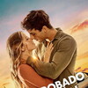 You Stole My Heart [2025] / 2160p / WEB / H265 / EAC3 / Spanish / Subs / MKV / playWEB thumb