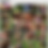 Bizarre Sex #14 /   #14 (Climax Production / Pleasure Verlag) [2006 ., pissing, masturbation, fetish, urin drink, golden shower, blowjobs, group sex, foursomes, anal, all sex, DVDRip] thumb