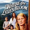 Where the Lilies Bloom [1974] / H264 / MKV / WEB / 1080p / AC3 / Subs / GPRS thumb