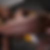 [Gloryhole-Initiations.com / DogFartNetwork.com] Kinsley Karter - Gloryhole Initiations (30.06.2019) [2019 ., 1 On 1, Ebony, Big Tits, Bukakke, Creampie, Shaved, Tattoos, 1080p] thumbnail