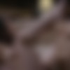 [PureTaboo.com] Casey Calvert ( Can't Say No ) [2019, Gonzo Hardcore All Sex 1080p ] thumb