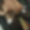 [SheMaleStrokers.com / TransationalFantasies.com] Pamela / Ts Pamela Remastered [2019 ., Shemale, Solo, 1080p, SiteRip] thumbnail