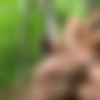 [CockyBoys.com] Introducing Ashton Summers with Carter Dane! [2016 ., Anal Sex, Big Dick, Blowjob, Cumshots, Kissing, Masturbation, Muscle, Outdoors, Rimming, Tattoos., 720p] thumb