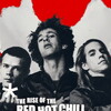The Rise of the Red Hot Chili Peppers: Our Brother, Hillel [2025] / 1080p / WEB / H264 / EAC3 thumb