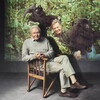 Making Life on Earth: Attenborough’s Greatest Adventure [2026] / 1080p / WEB / H264 / AAC / Subs / MKV / RAWR thumb