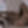 [X-Art.com] Madi Meadows - Two Fingers Deep [2015 ., Solo, Masturbation,Trimmed Pussy, 1080p] thumb