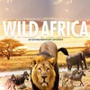 Wild Africa 3D: An Extraordinary Journey [2013] / H264 / MKV / Blu-ray / 1080p / DTS thumb