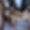 [Onlyfans.com] Lilah lovesyou (aka lilahanne) - MMF Threesome [2022, Amateur, Facial, Hardcore, Natural Tits, Straight, Teen, Threesome (MMF), 1080p, SiteRip] thumb