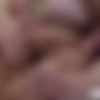 [FunSizeBoys.com] Jay & Dr. Wolf Chapter 2: The Dr's Home (Jay James, Legrand Wolf) [2020 ., Anal, Creampie, Kissing, Older/Younger, Oral, Roleplay, Tattoo, 720p] thumb