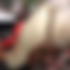[BlacksOnBlondes.com / DogFartNetwork.com] Layla Price [1080p/19.05.2015 ., Blonde, Natural Tits, Medium Tits, Shaved Pussy, Tattoo, Big Ass, Interracial, Big Black Cock, Threesome, All Sex, Oral, Deep Throat, Ball Licking, ATM, Anal, DP, Swallow] thumb