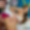 [PornGoesPro.com / Spizoo.com] Chloe Amour - Personal Tape (01.09.2015) [2015, All Sex, POV, Brunette, Latina, Natural Tits, Small Boobs, Big Dicks, Blowjob, Deep Throat, Camel Toe, Cigarette, Cowgirl, Doggystyle, Fingering, Gonzo, Hardcore, Lingerie, Missionary, Petite, Skinny, Cumshot, Cum On Ass, 720p] thumb
