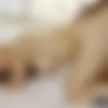 [Blacked.com] Skye West ( Tiny Young Girl First Interracial / 05.06.15) [2015 ., all sex, 720p] thumb