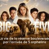 Big Five 2020 German 1080p WEB H264-CLASSiCALHD thumb