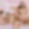 [Privacy.com.br] Ravena Hanniely, Lady Snow & Lady Milf - The Bunnies Share A Big Cock [2022, All Sex, Anal, Big Ass, Big Tits, Blonde, Blowjob, Bubble Butt, Brunette, Foursome, Hardcore, POV, Sex Toys, 1080p] thumbnail