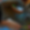 [ThaiGirlsWild.com] Tida (Tida teen sensation / n417) [19.07.2013 ., Asian, Creampie, 720p] thumbnail
