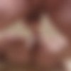 [SeanCody.com] SC-2072 Brodie & Cole: Bareback [2016 ., Anal Sex, Bareback, Blowjob, Cumshots, Hairy, Kissing, Masturbation, Muscles, Rimming, Tattoos, Twink., 720p] thumb