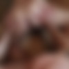 [TimFuck.com / TreasureIslandMedia.com] Jack Allen & Jake B [2016 ., Anal Sex, Bareback, Blowjob, Rimming, Kissing, Masturbation, Dad And Son, Cumshot, Hairy, Tattoos, 720p] thumb