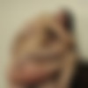 [TeensPorn.us]  -! [AllSex, Teen, Amateur, Anal, Solo] [2003-2007 ., 264x834 - 1654x1078, 35 330  / 382 c] thumbnail