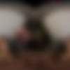 [VRHush.com] Myra Moans (The Art Project) [2025 ., Hardcore, All Sex, VR, 8k, 3840p] [Oculus Rift / Vive] thumb